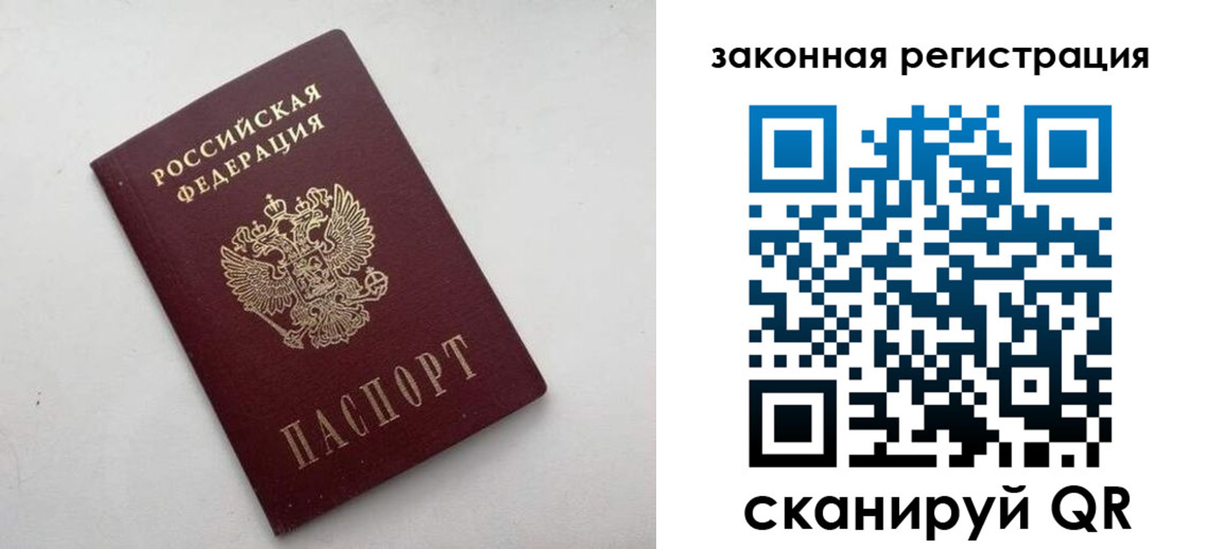прописка 2025 в Брянской области